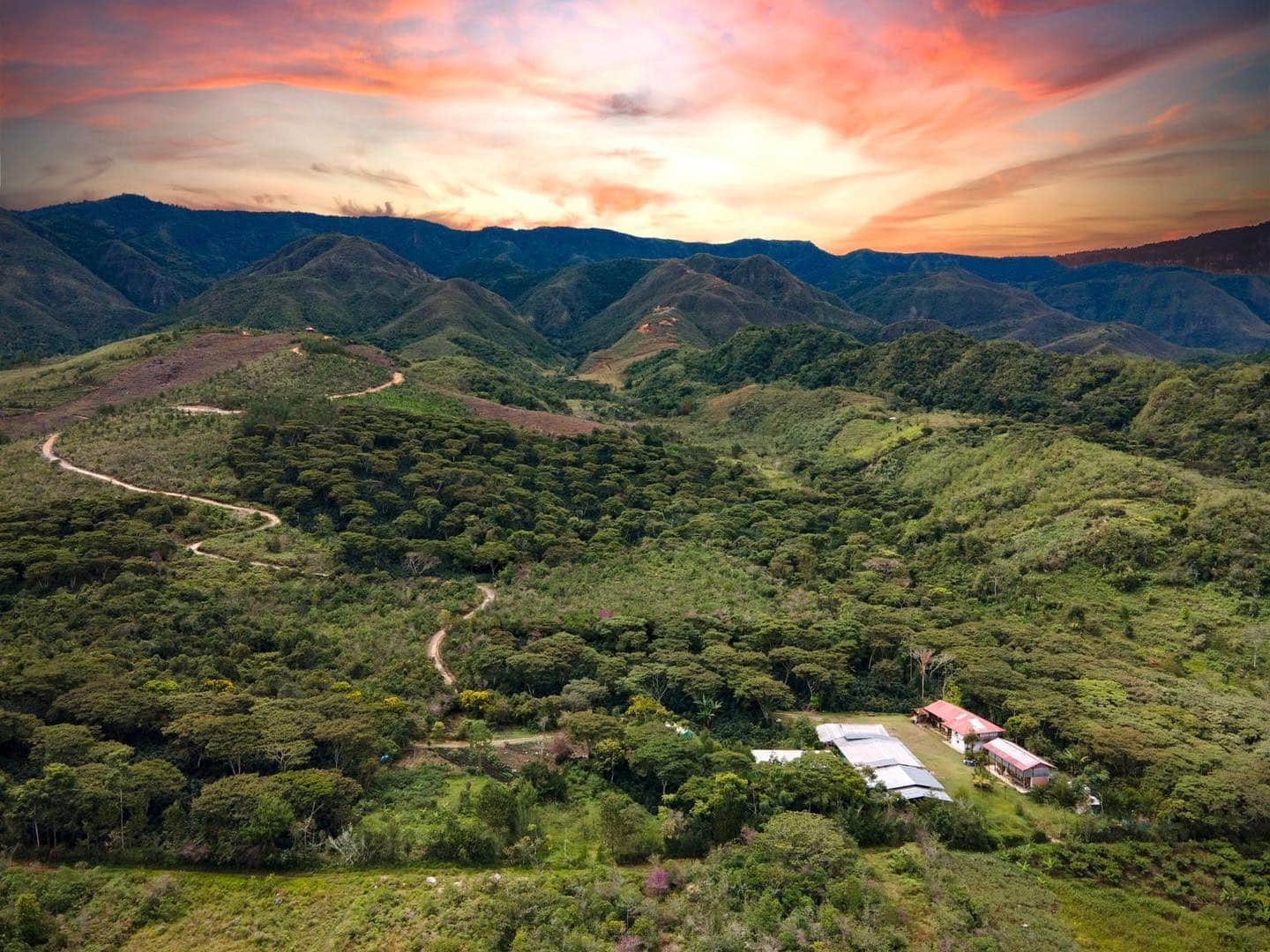 finca de café en perú comité monteverde